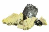 Black Tourmaline (Schorl) Crystals with Orthoclase - Namibia #132241-1